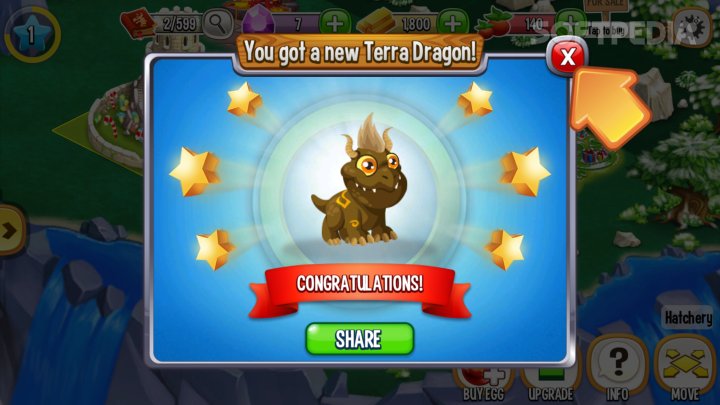 facebook friends to add for dragon city