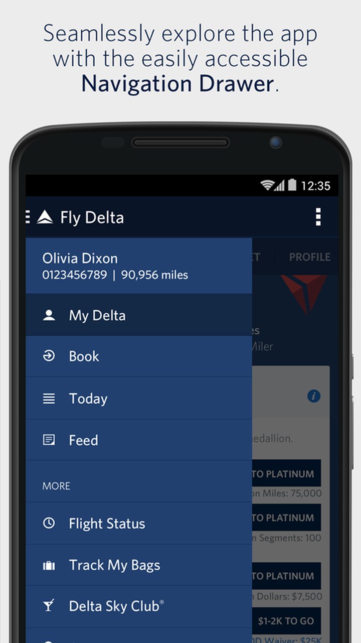 Fly Delta screenshot #0