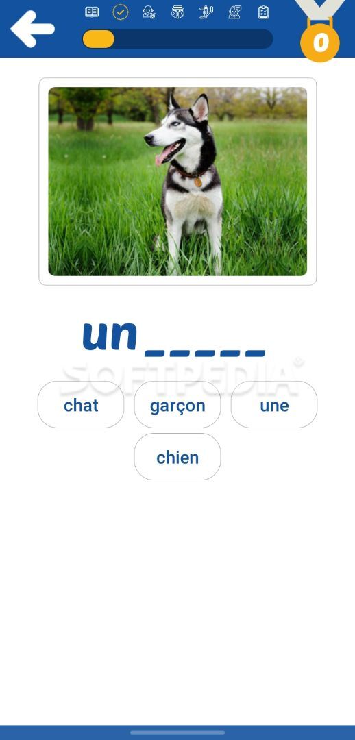 LanQuick: Learn languages free app - 27 languages screenshot #3