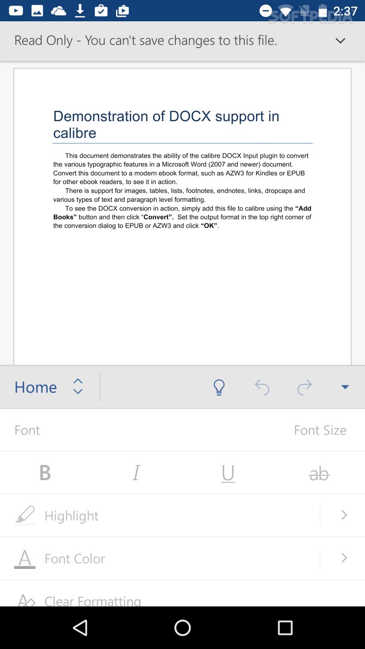 Microsoft Word screenshot #2