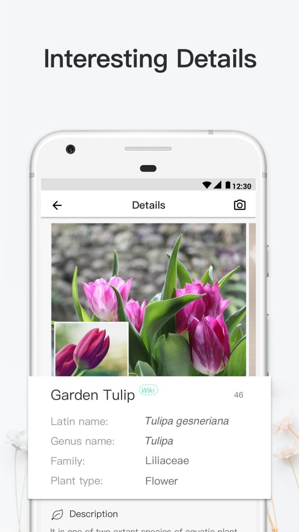 Приложение для распознавания цветов по фото на андроид бесплатно