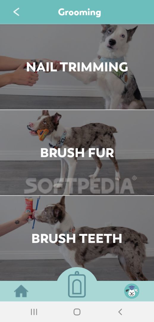 Puppr - Dog Training & Tricks screenshot #1