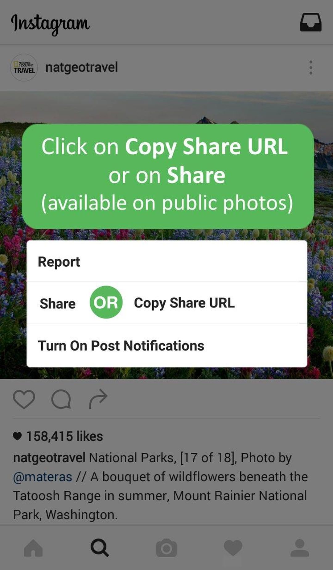 Regrann - Repost for Instagram screenshot #4