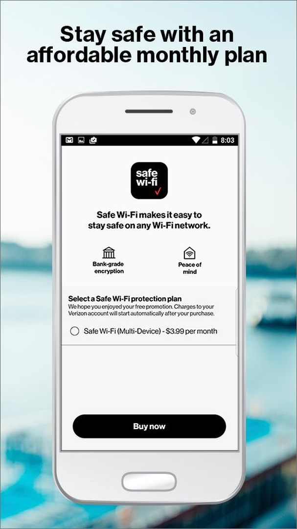 Safe Wi-Fi screenshot #2