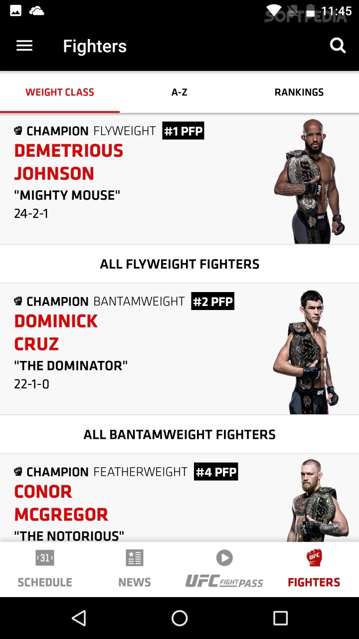 UFC screenshot #2