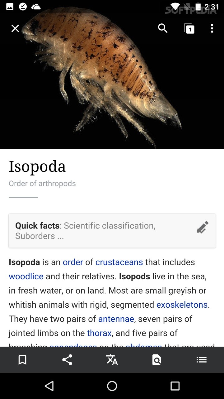 Wikipedia screenshot #1