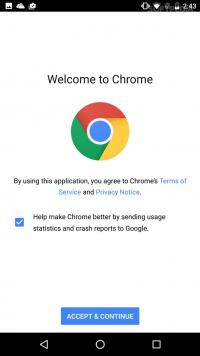 Google Chrome Canary (Unstable) Screenshot