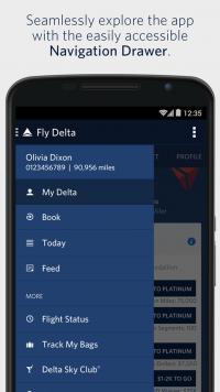 Fly Delta Screenshot