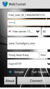 VPN Over HTTP Tunnel:WebTunnel Screenshot