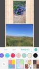PicCollage - Your Story, Grid + Photo Editor - screenshot #4