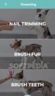 Puppr - Dog Training & Tricks screenshot thumb #1