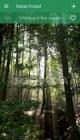 Relax Forest - Nature sounds: sleep & meditation - screenshot #1