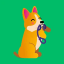 Dogo — Puppy and Dog Training icon