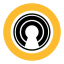 Norton Password Manager icon