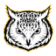 Owl VPN Free - Internet Freedom, Privacy & Safety icon